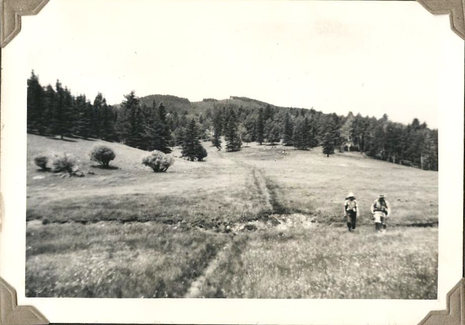 From Webster
                          Pass