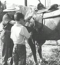 Horse progam at camp