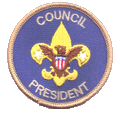 Council President's shoulder
          patch