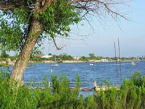 View of
                lake