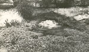 Water
                  srping at Camp Louis Farr