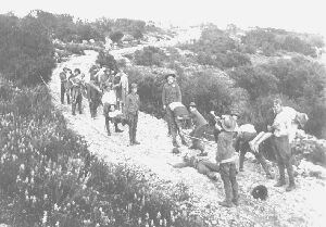 First Troop in
                  Sonora 1915